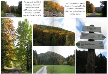 Lokalita Šindelná - střední část Belianské doliny