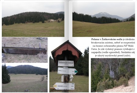 Polana v Zaškovském sedle (Šípská Fatra - Slovensko)